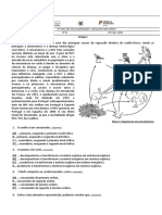 2º Teste Ciências Naturais 20192020 8ºD