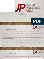 Yacimientos de Gas en Formaciones de Baja Permeabilidad