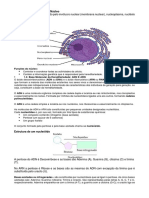 01 Biologia 10a Classe Prof Maria Celeste V