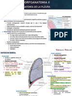 Semana 9 Parte 1