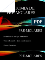 Anatomia Pre Molares