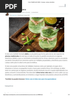 Cómo TOMAR ALOE VERA - Consejos, Recetas y Beneficios Sábila Artículo