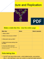 DNA Replication Slideshow