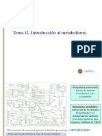 Tema 12. Introducción Al Metabolismo. 20-21