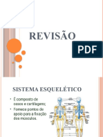 Revisão Anatomia