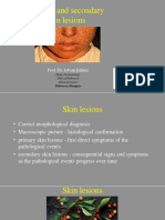 Primary and Secondary Skin Lesions - IJ