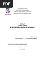 EnsayoCritico Psicologia Organizacional