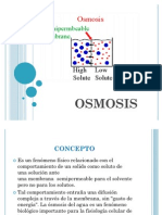 Osmosis Expo