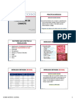 ACCESO Produccion Camote 12 11 HANDOUTS