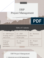 ERP Project Management