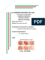 Autónomo N3 Enfermedades de La Piel