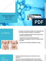 Diálisis Peritoneal y Hemodiálisis