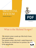 G-8 Skeletal System