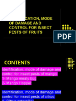 10-Insect Pests of Fruits