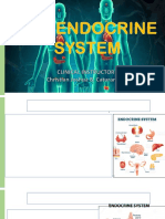 The Endocrine System 