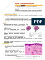 G8 - Dermatosis Inflamatorias