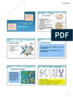 Material 5 - Apostila Mitose 