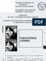 Parvovirus Canino, Maritza Hernández 3B