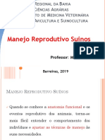 Manejo Reprodutivo Suinos - 30 10 2019