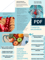 Enfermedades y Hábitos Saludables Del Aparato Circulatorio