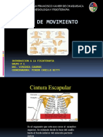 Arcos de Movimiento