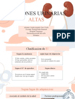 Infecciones Urinarias Altas 2