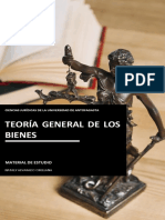 Teoria de Los Bienes