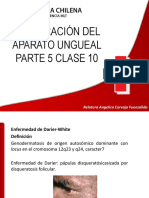 Clase 10