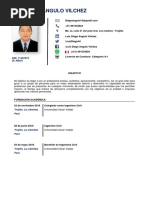 CV Luis Diego Angulo Vilchez 1