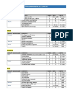 Programme Sportif Entrainement Musculation.