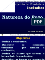 CAP. 01 NATUREZA DO FOGO Revisão