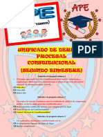 APE de Derecho Procesal Constitucional - Segundo Bimestre - Unificado - MESD