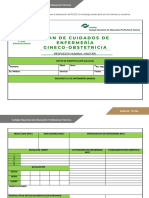 Plan de Cuidados Gineco-Obstetricia