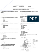 Examen Del Sistema Digestivo