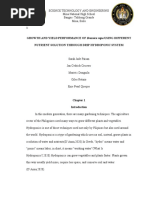 Drip Hyrodponics Medyo Final Nga Waay Problema Nga May Problema Nga Research