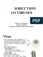 7 - Virus