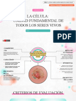 1ro - Semana 2 (EDA 1)