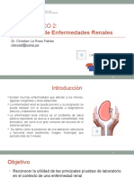 Semana 1 CC2 Insuficiencia Renal Cronica