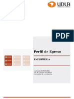 Perfil de Egreso Enfermeria PDF