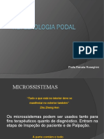 Slides Reflexologia Podal