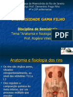 Anatomia e Fisiologia Do Rim 2009