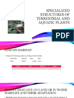 Specialized Structures of Terrestrial and Aquatic Plants