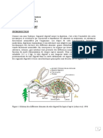 Appareil Digestif 2ème Année Véto Cours 1 2021