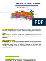 Cell Membrane in Transport Mechanisms