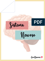 Anatomia - Resumo - Sistema Nervoso