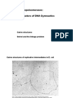 Lecture 4 - 15 End Replication and Genetic Code - Transcription PDF