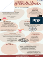 Infografia Introduccion A Neuro