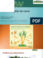 Produção Cana