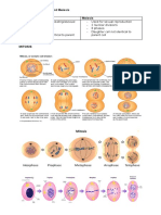 Cell Division Personal Modified Notes