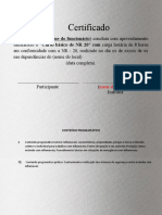 Certificado NR-20 (Basico)